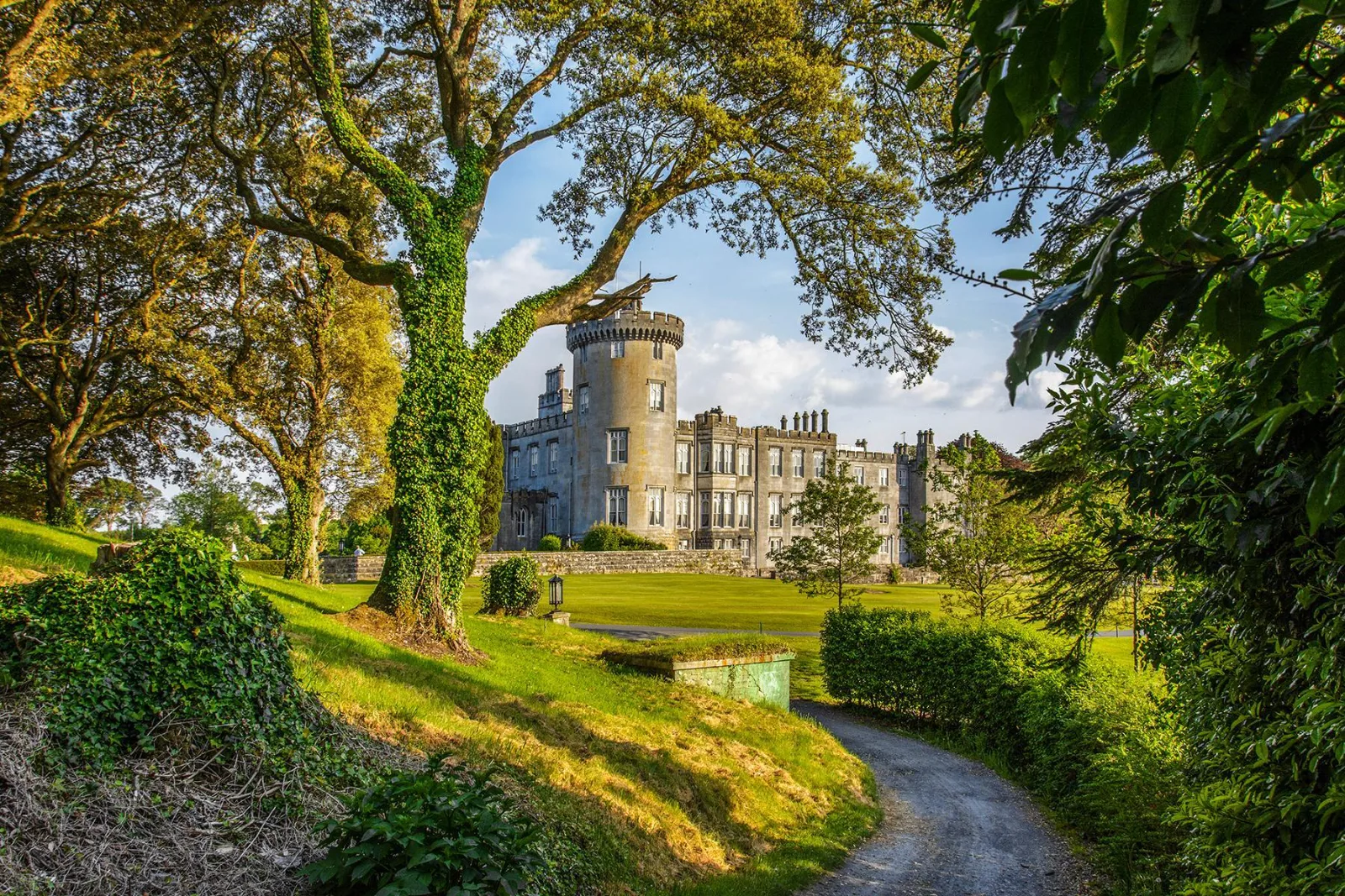 A grand stone castle rises beyond manicured green lawns, framed by lush ivy-covered trees and a gravel pathway in Ireland.
