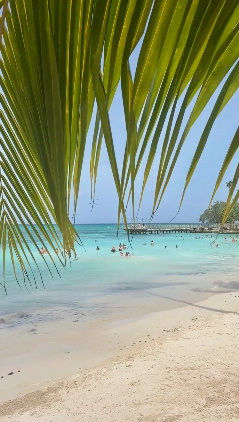 Green palm fronds frame people swimming in turquoise ocean water along a sandy beach in Punta Cana.