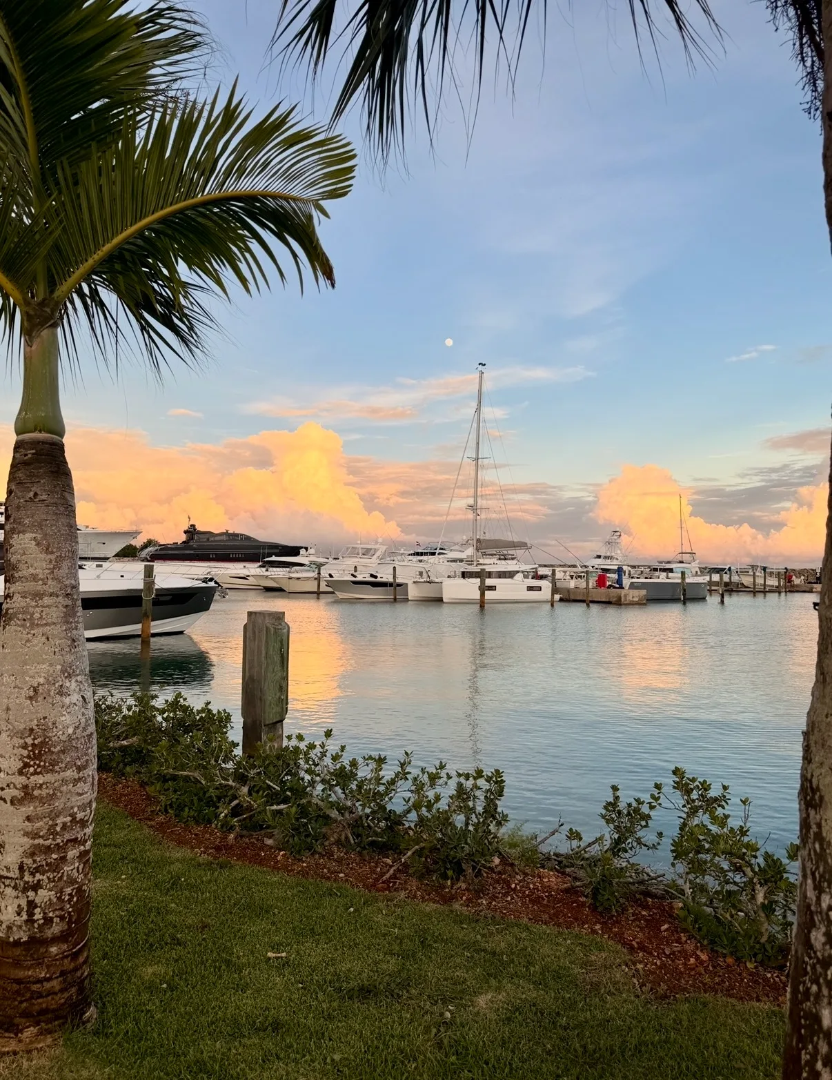 Yachts and sailboats dock in a tranquil marina beneath glowing sunset clouds, framed by palm trees in the Dominican Republic.