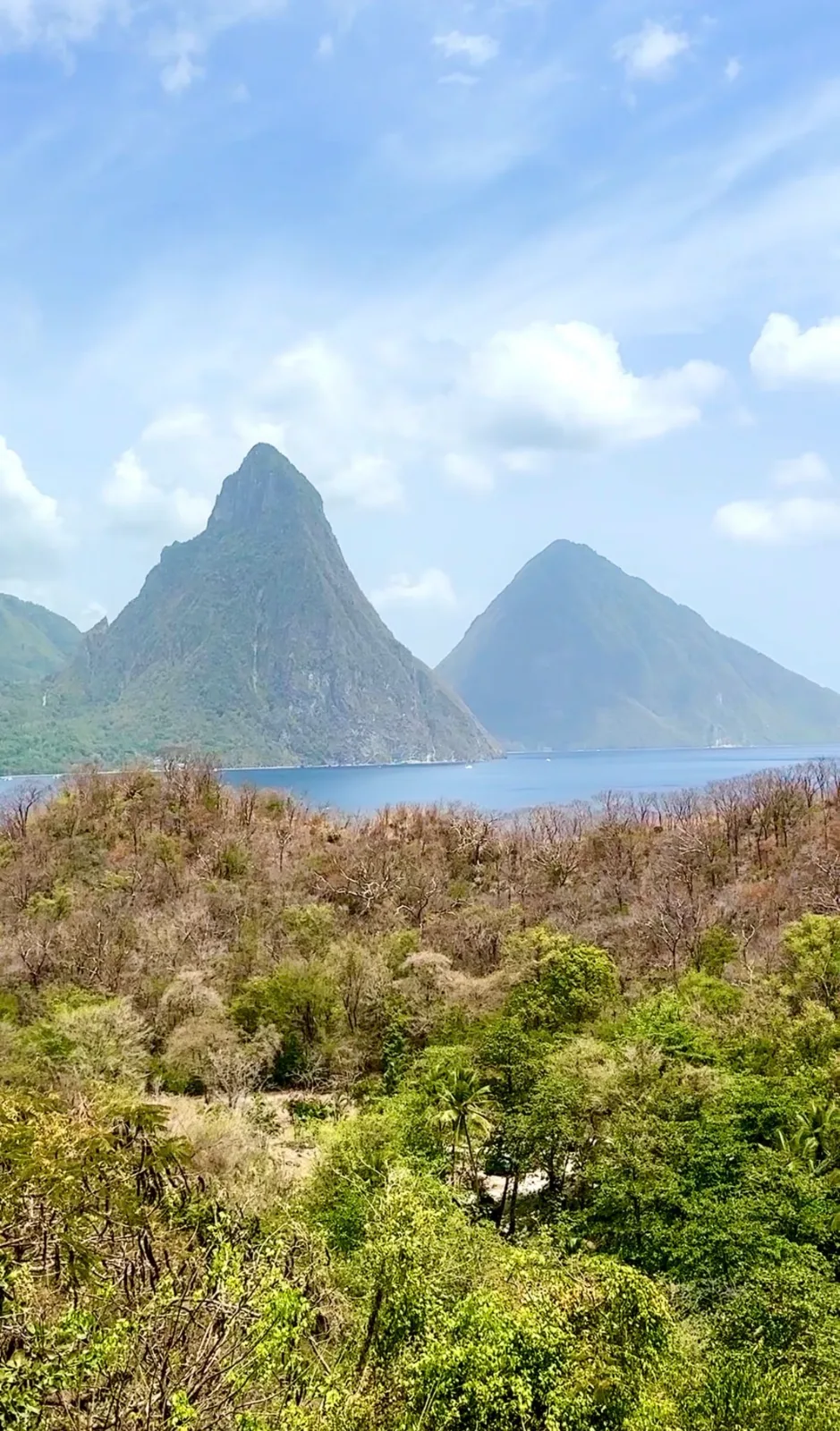 The twin volcanic Pitons rise above the blue sea, viewed across lush tropical forest in Saint Lucia.