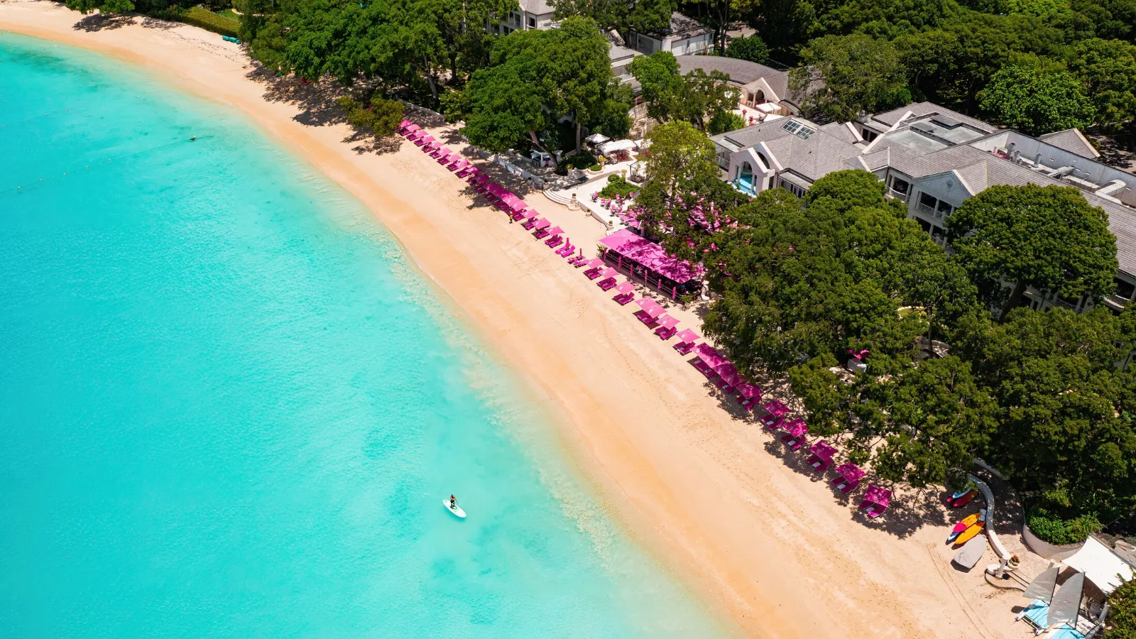 Pink sun loungers and umbrellas line a sandy beach bordering clear turquoise waters beside lush tropical trees in Barbados.