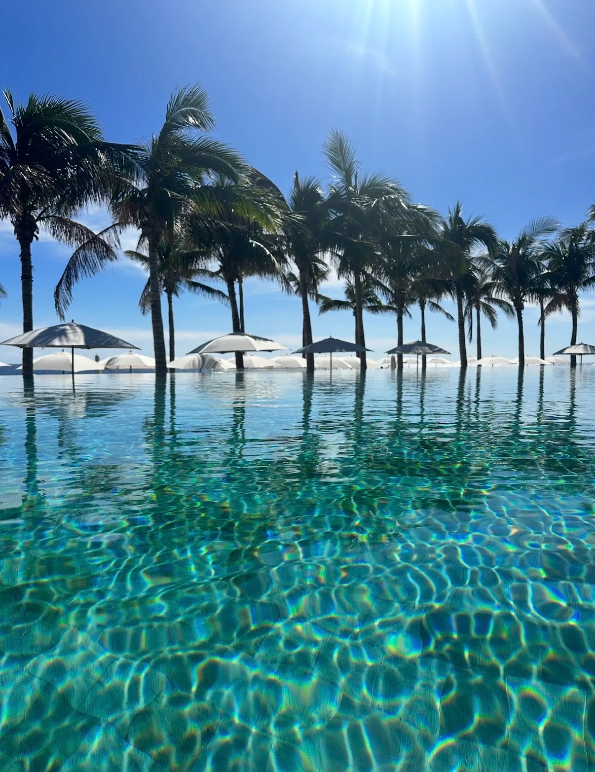 Sunlit turquoise infinity pool lined with palm trees and white umbrellas overlooking the ocean in Los Cabos.
