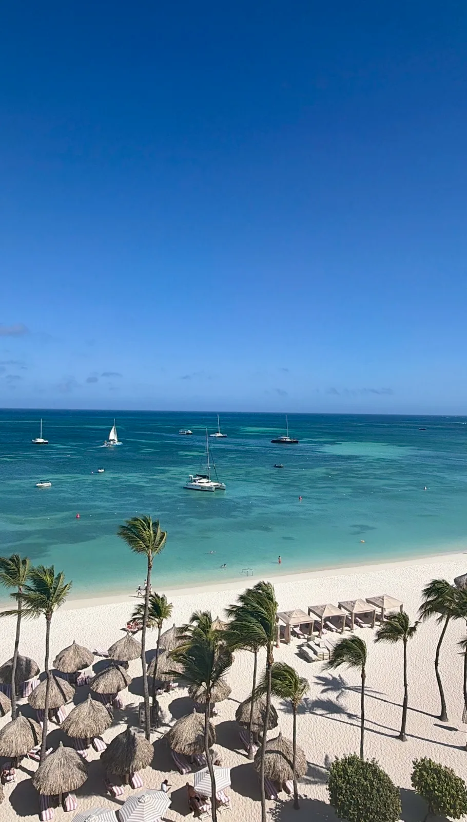 Palm trees and thatched palapas line a white-sand beach overlooking sailboats on turquoise waters in Aruba.