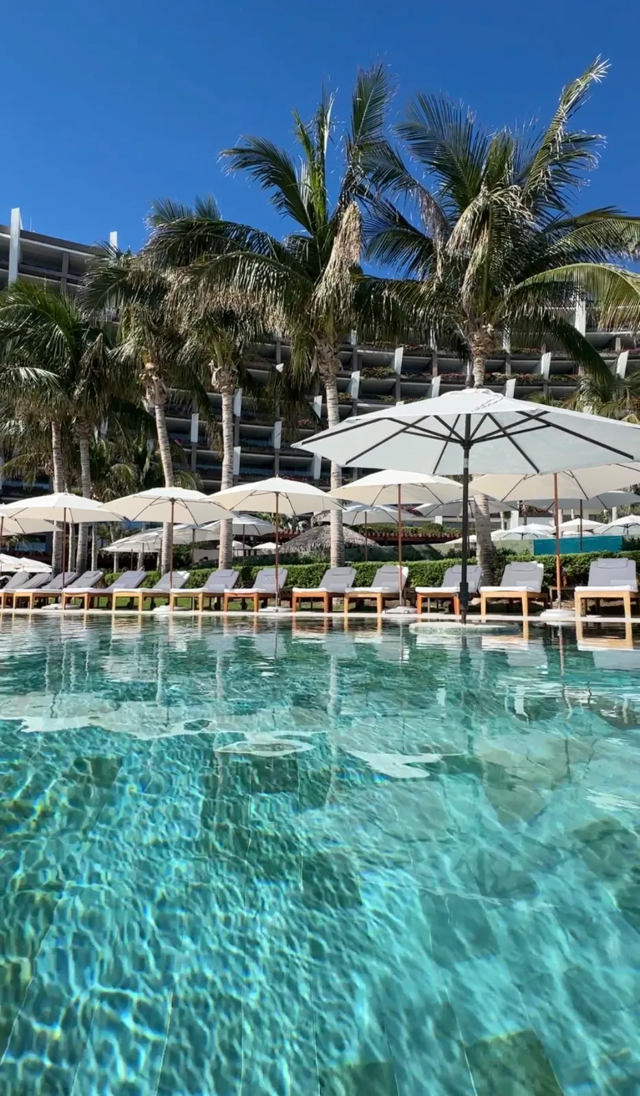 Sun loungers and white umbrellas line a turquoise swimming pool framed by palm trees and resort suites in Los Cabos.