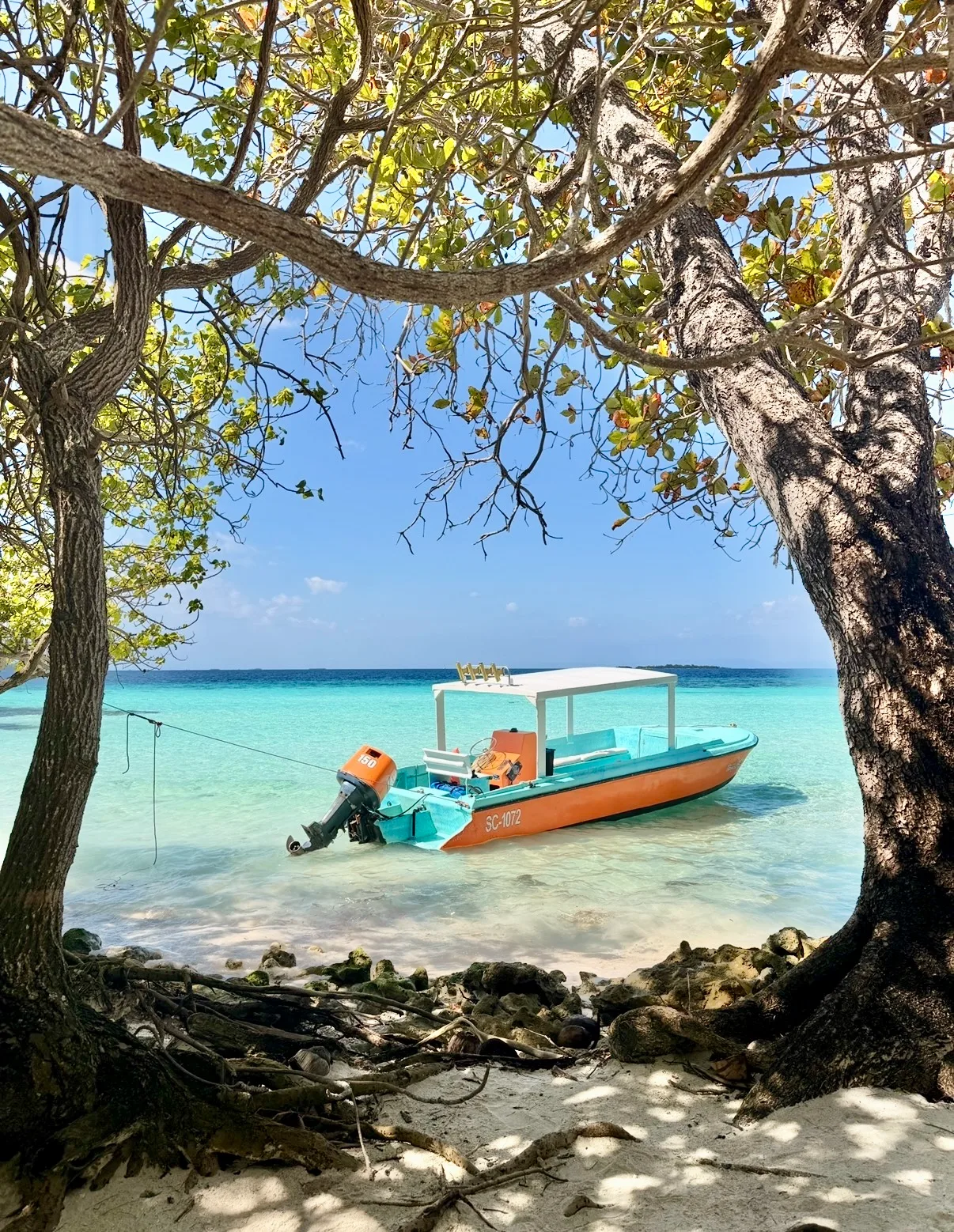 An orange and turquoise boat floats in clear shallow waters, framed by coastal trees along a beach in Belize.
