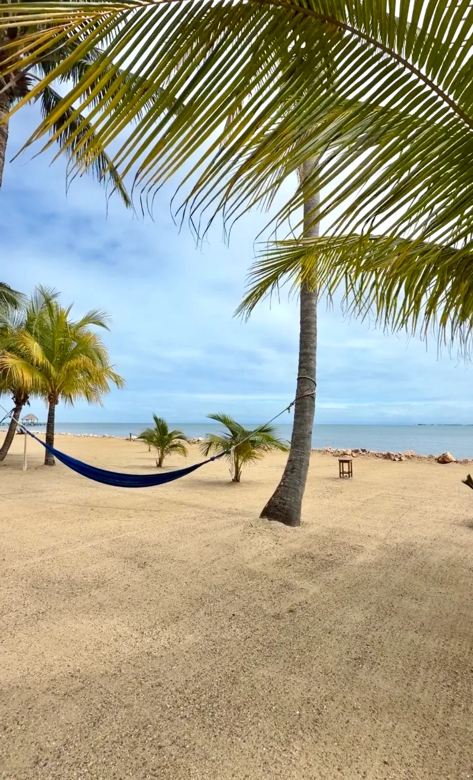 A blue hammock hangs between palm trees on a sandy beach overlooking the calm Caribbean Sea in Belize.