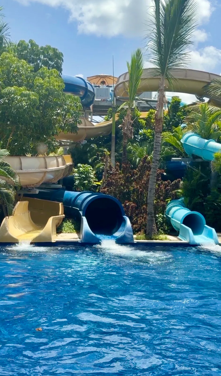 Colorful water slides empty into a bright blue swimming pool surrounded by lush palm trees at a Dominican Republic resort.