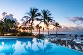 An infinity swimming pool overlooks palm trees and the ocean at sunset along a beach in Barbados.